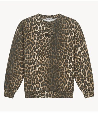 Stieglitz Trui Sabrina Sweater Brown