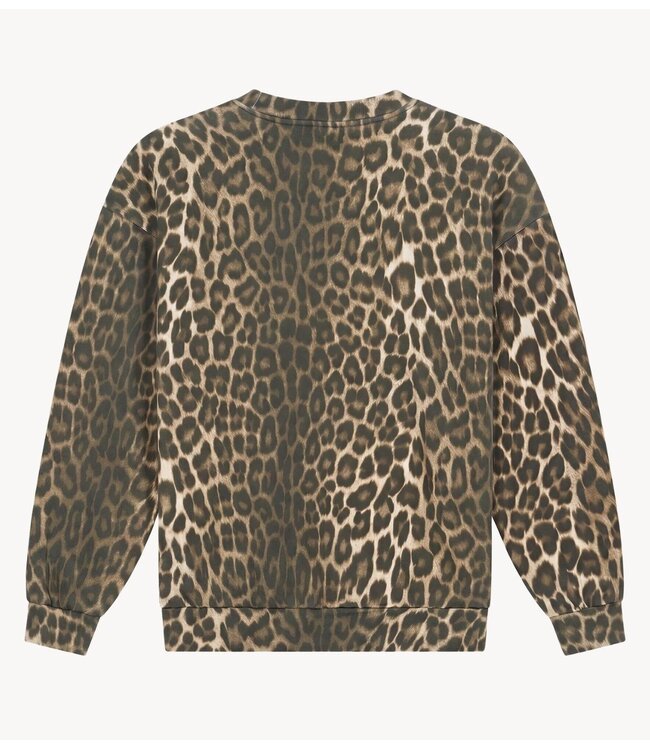 Stieglitz Trui Sabrina Sweater Brown