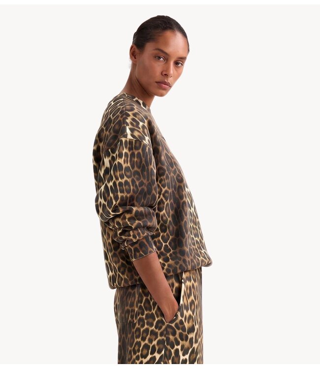 Stieglitz Trui Sabrina Sweater Brown
