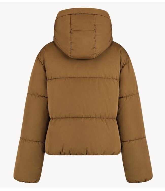 HARPER & YVE Jas IBBY-JA NEW OLIVE