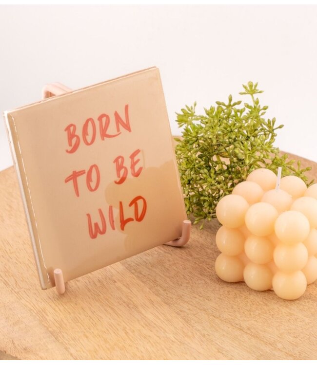 Tegeltje born to be wild