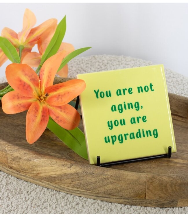 Tegeltje not aging, upgrading