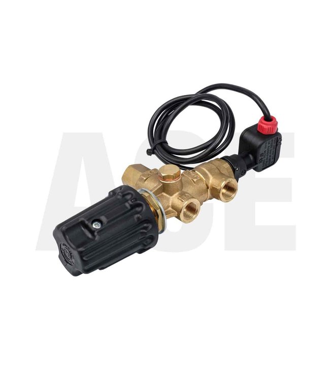 Pressure regulator cat pump with knob and microswitch