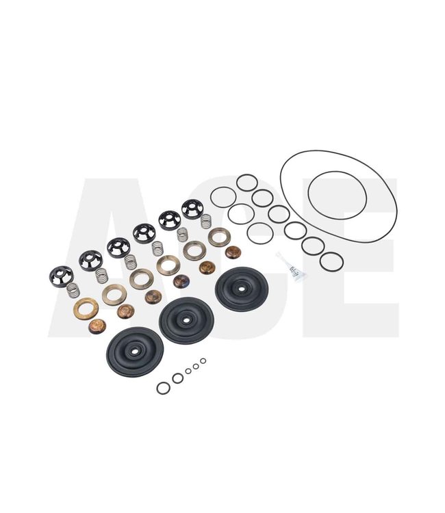 Wanner overhaul kit complete, valves and seal for G25 pump