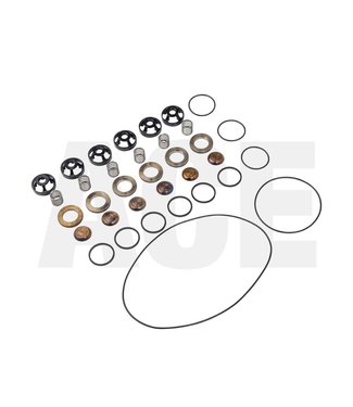 Wanner valve set, without seal for G25 pump 11805 USES