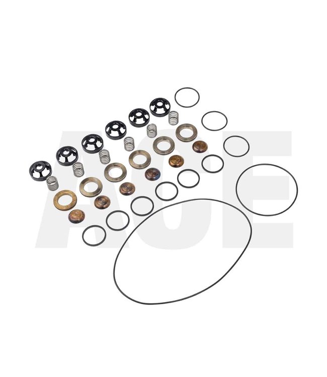 Wanner valve set, without seal for G25 pump 11805 USES