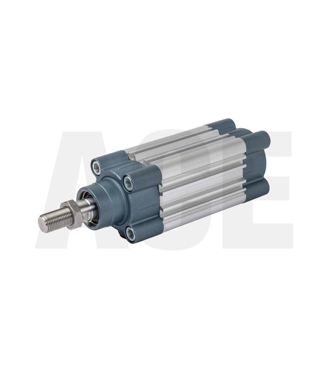 Air cylinder DN50 x 50