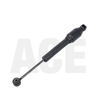 Holz shock absorber for FSH