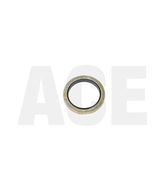 Holz sealing ring for shock valve