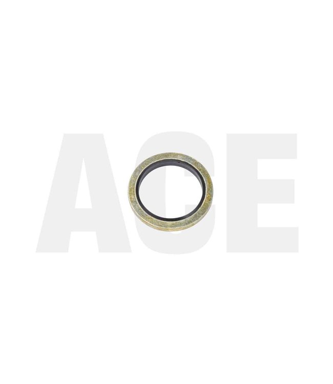 Holz sealing ring for shock valve
