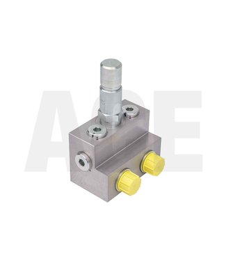 Holz shock valve