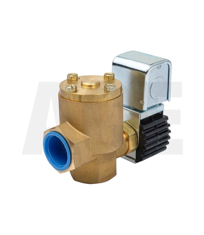 Holz HD diverter valve 1" Dema