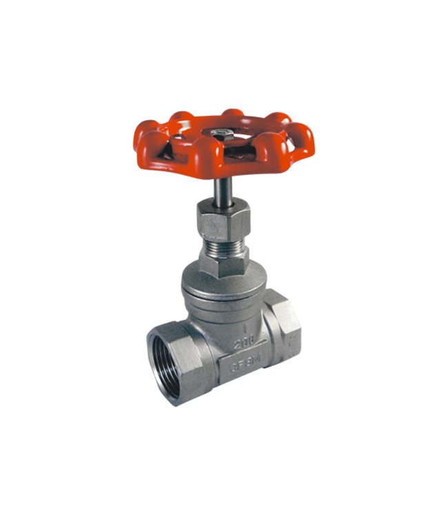 RVS gate valve 1/2"