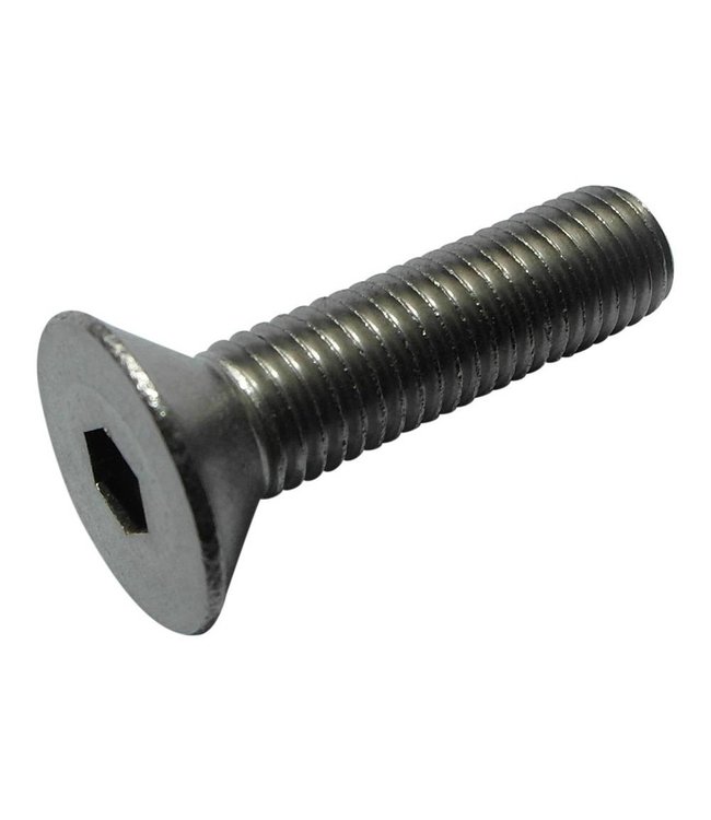 Stainless steel countersunk screw with hexagonal socket M5 x 10