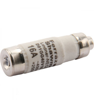 D01 fuse16A GL/GG