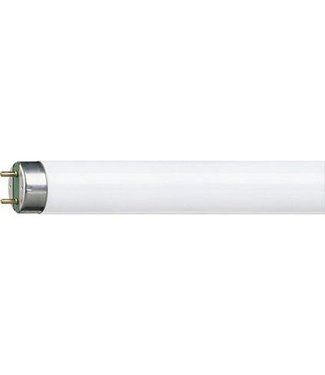 Led fluorescent tube 150cm 23W for Holz show arch