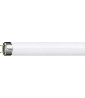 Led fluorescent tube 60cm 8W for Holz show arch