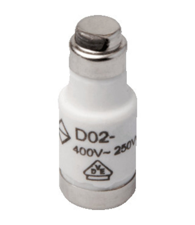 D2 zekering 440V 35A traag