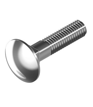 Stainless steel carriage bolt M6 x 16 for gutter mounting