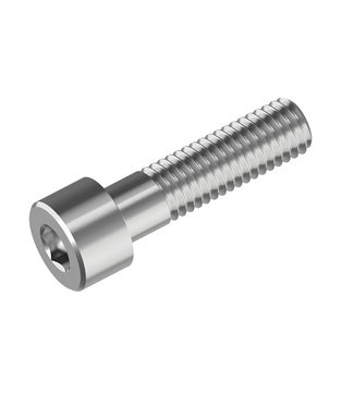 Stainless steel hex bolt cyl head M10 x40 for drive statio cover plate