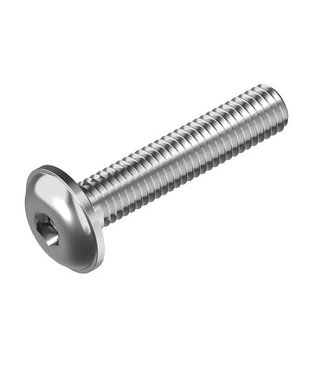 Stainless steel socket head bolt with flange M6 x 20