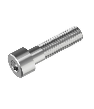 RVS Allen bolt cyl head M6 x 110