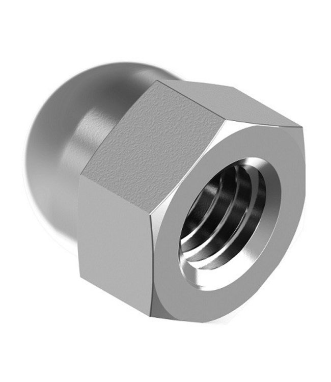 RVS cap nut M10