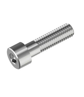 Stainless steel socket bolt cyl head M5 x 20