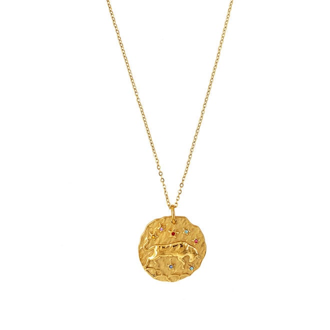 Zodiac Necklace Stainless Steel Gold -Plated