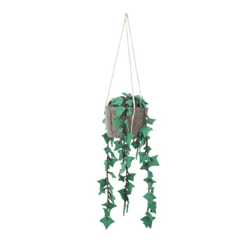 Kids Depot Hangplant Hedera Kids Depot Hangplant Hedera