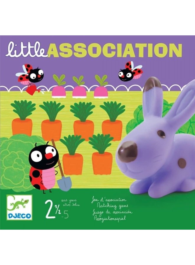 Djeco - Little association - DJ08553