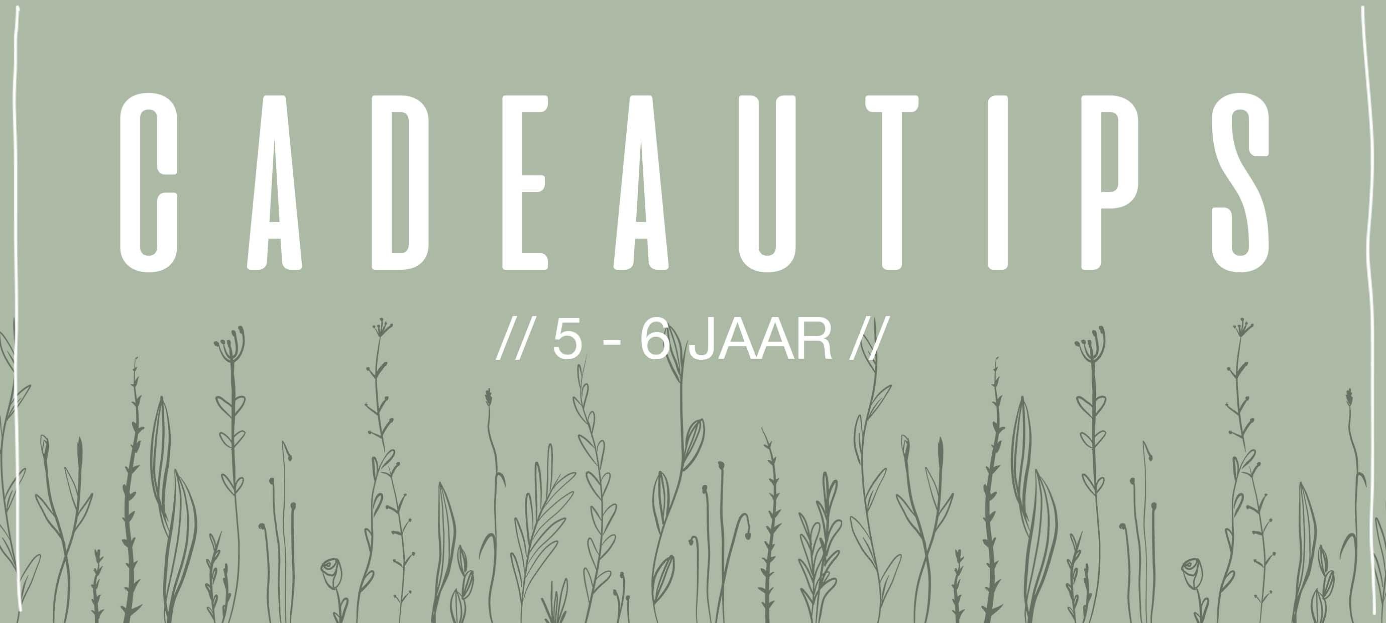 Cadeautips // 5 - 6 jaar