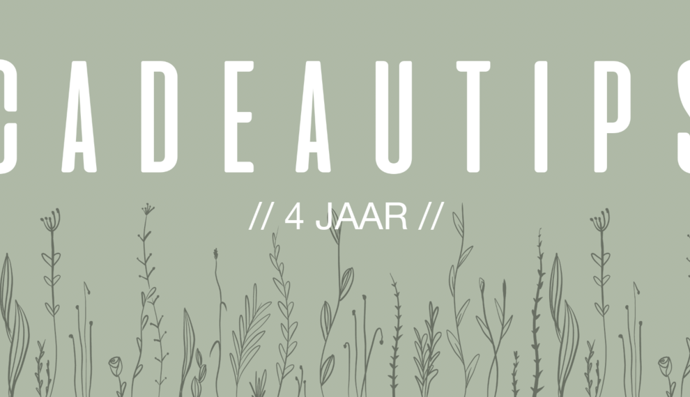 Cadeautips // 4 jaar