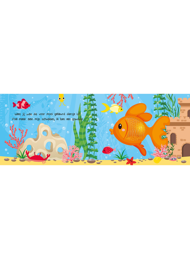 Lantaarn - Kijk en voel - Huisdieren