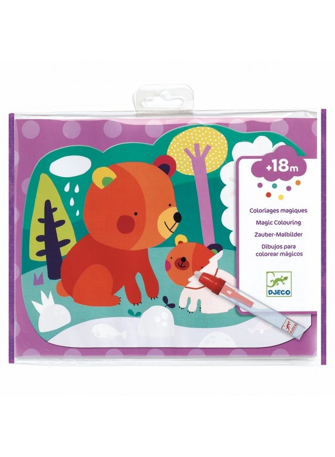 Magic Colouring - Hidden In The Woods - DJ09064