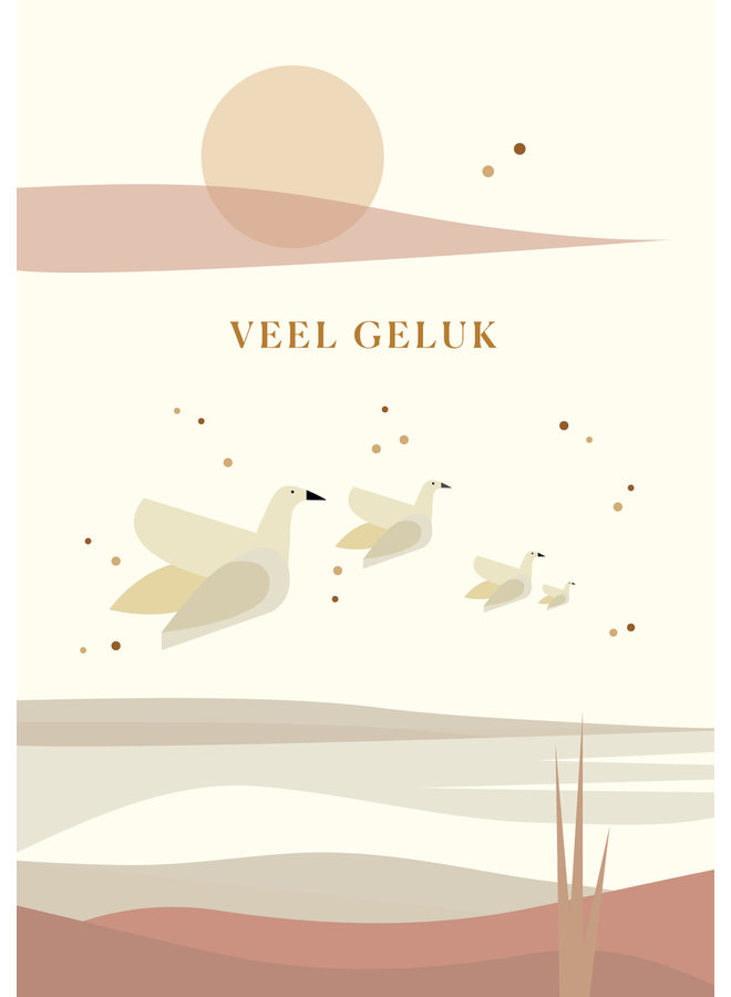 SR_022 - Veel Geluk