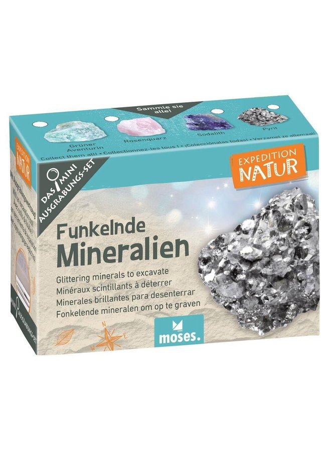 9831 - Expeditie Natuur Mini Uithakset - Mineralen