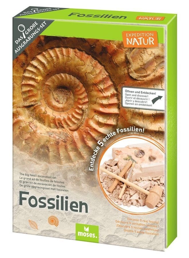 Moses - 9832 - Expeditie Natuur Uithakset - Fossielen