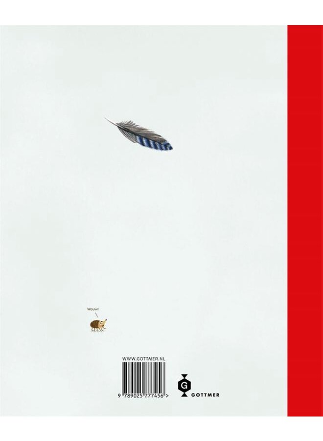 Gottmer - Loes Riphagen - Het kabouterboek
