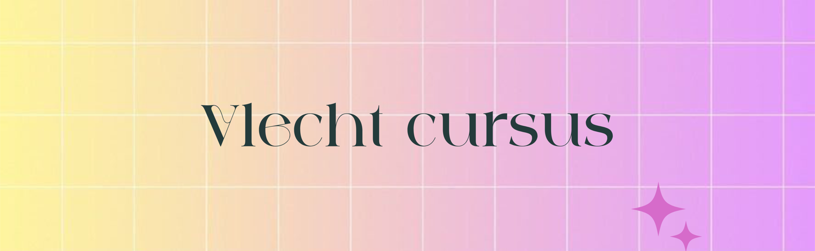 Vlecht cursus 8 juli