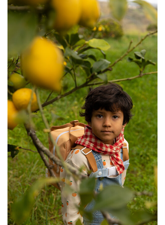 Sticky Lemon - Backpack small - farmhouse envelope - pear jam