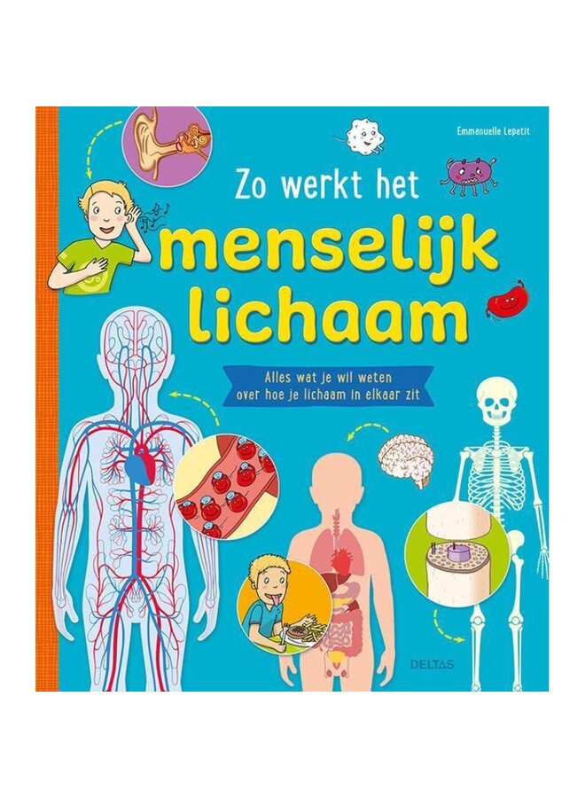 Zo werkt het menselijk lichaam