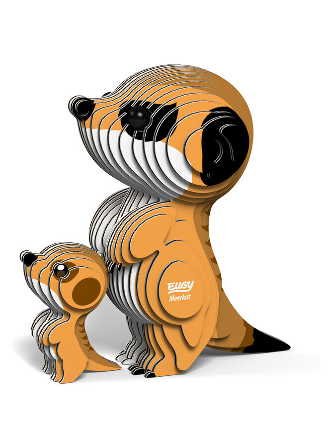 3D Model – meerkat