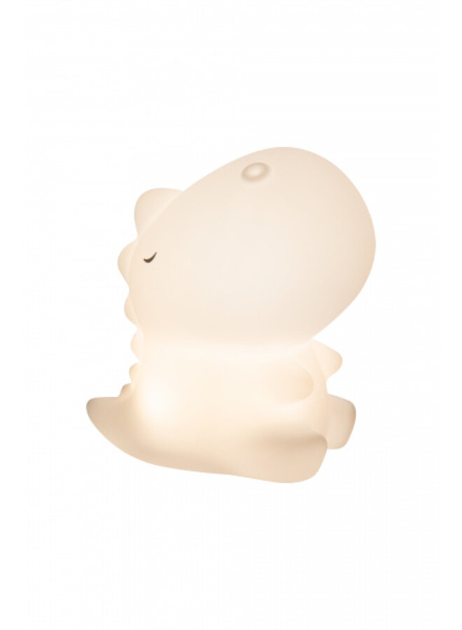 Little L - Soft nightlight – Lucca dino