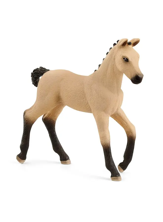 Hannoverian Veulen, Red Dun