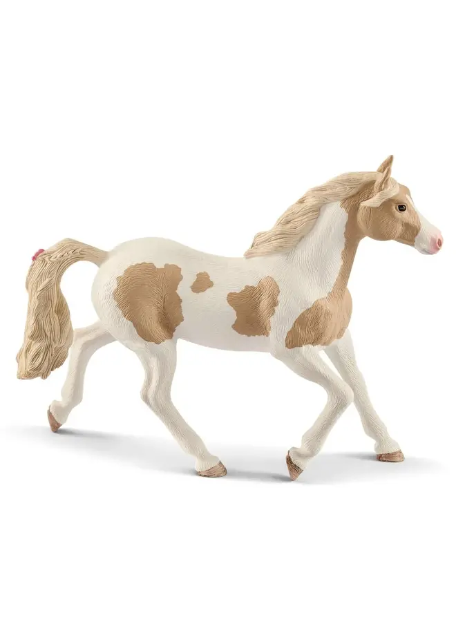 Paint Horse Merrie
