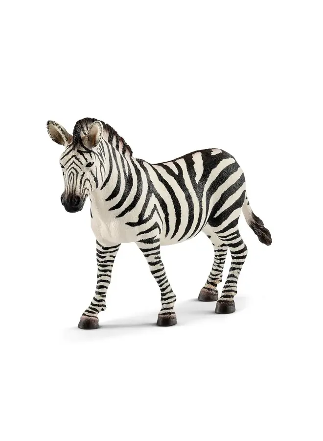 Schleich  - Zebra Merrie