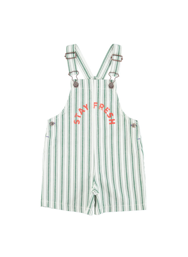 Short dungarees – White w/ large green stripes