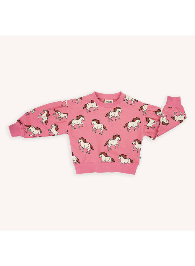 Girls sweater Wild horse