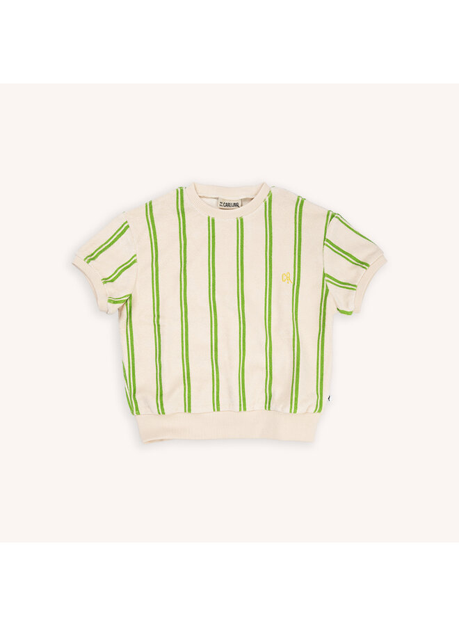 CarlijnQ - Sweater short sleeve - Stripes green